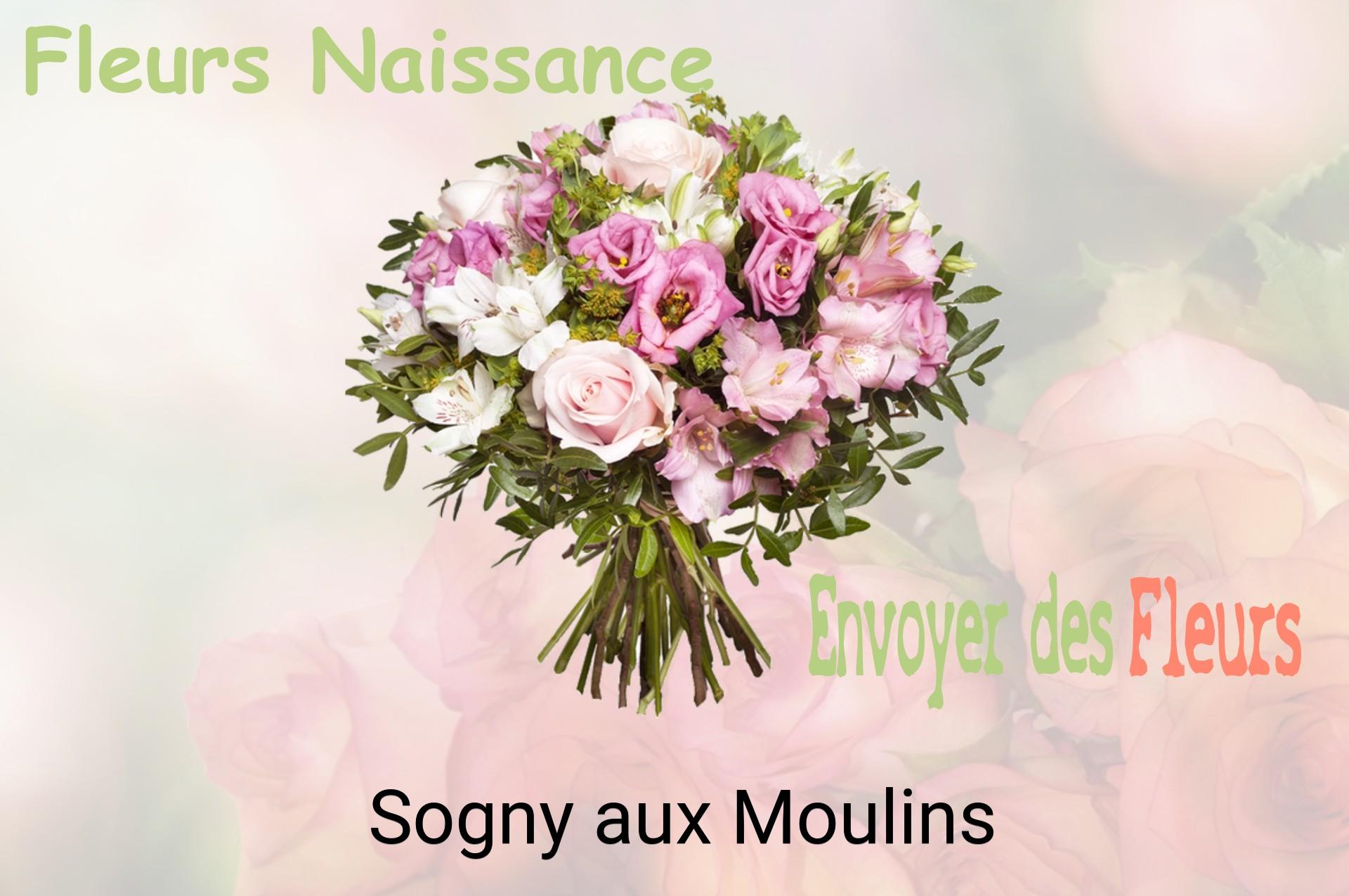 Bouquet de fleurs de naissance livré à Sogny-aux-Moulins